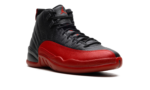 Air Jordan 12 7FS