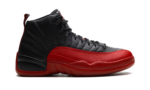 Air Jordan 12 6F